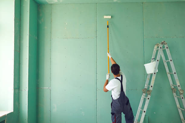 Best Basement Mold Removal  in Fairmount, TN