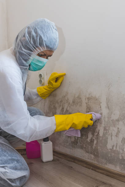 Best Dehumidification Services  in Fairmount, TN
