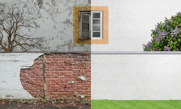 Best Water Damage & Mold Remediation  in Fairmount, TN