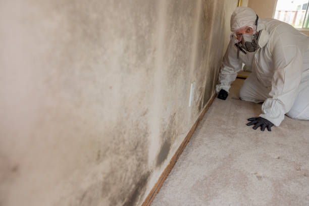 Best Air Quality Testing for Mold Spores  in Fairmount, TN