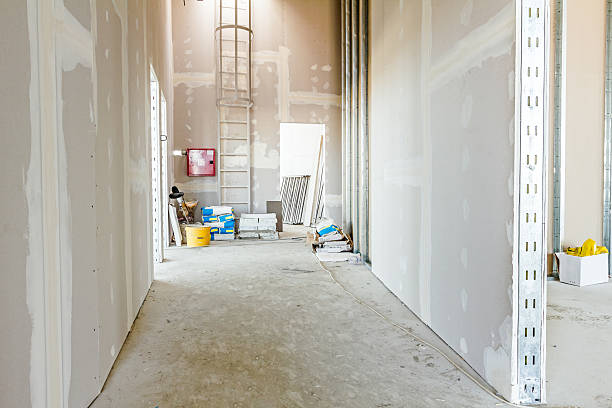 Best Biohazard Mold Removal  in Fairmount, TN